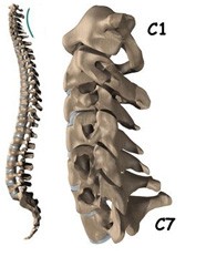 Cervicothoracale