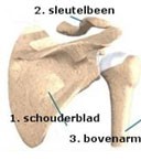 schouderimpingement